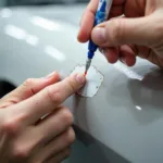 Applying Touch-Up Paint to Car Chip