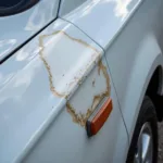 Bird Dropping Damage on Car Paint