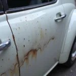 Bird droppings damage car paint