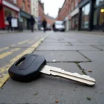 Broken Car Key Blade in Bristol