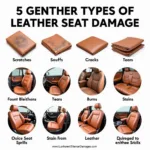 Common Types of Car Leather Seat Damage in Hull