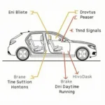 Car Light Types