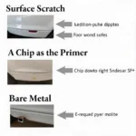 Identifying-Different-Types-of-Car-Paint-Chips