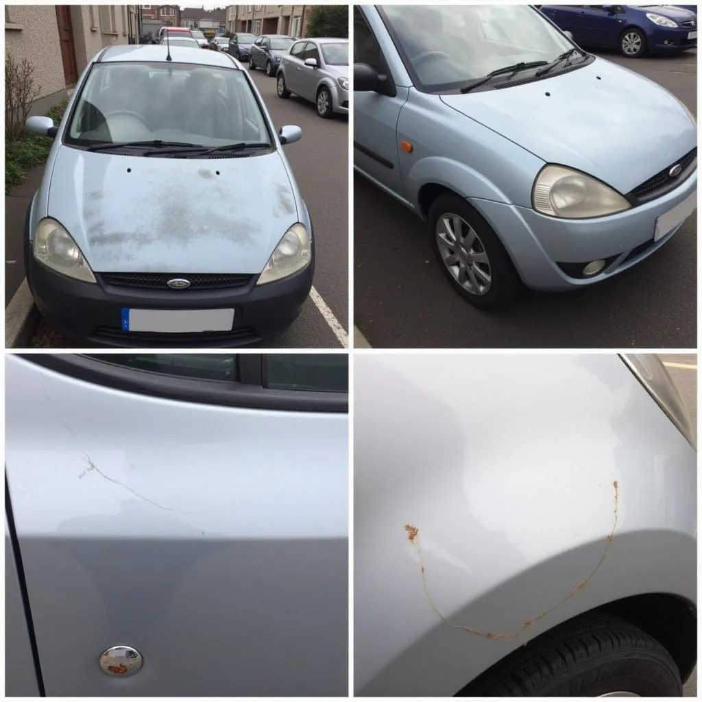 Various types of car paint damage commonly seen in Dublin due to weather