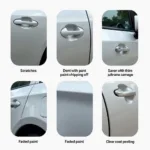 Types of Car Paint Damage