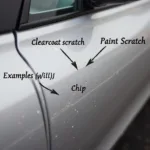 Types of Car Paint Damage