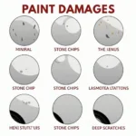 Different types of car paint damage