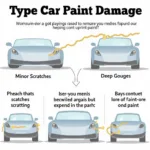 Different Types of Car Paint Damage