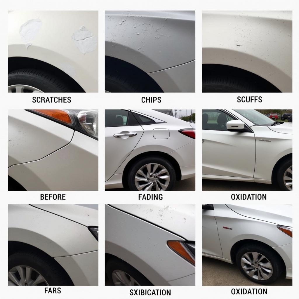 Different types of car paint damage common in Markham