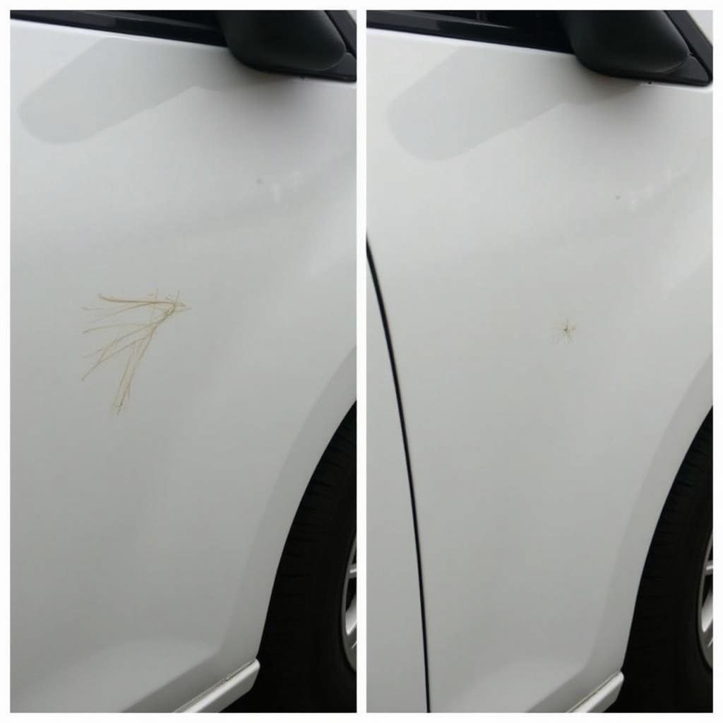 Car Paint Repair Before and After