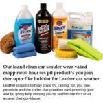 Essential Car Seat Cleaning Products