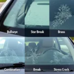 Types of Car Window Chips