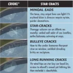 Types of Car Window Damage