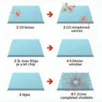 Different types of car window damage