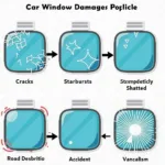 Types of car window damage