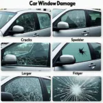 Different Types of Car Window Damage