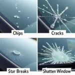 Types of Car Window Damage