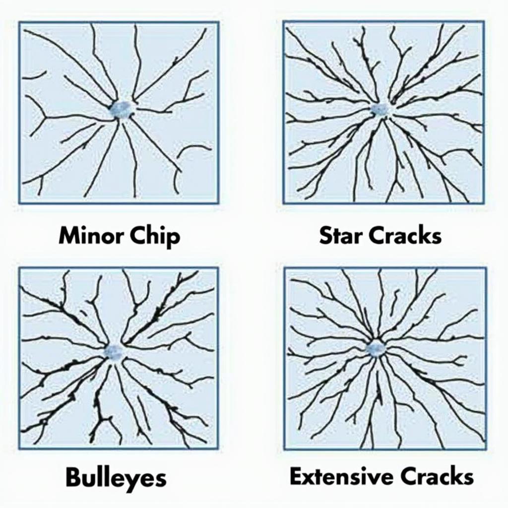 Different types of car window damage in Abilene, TX