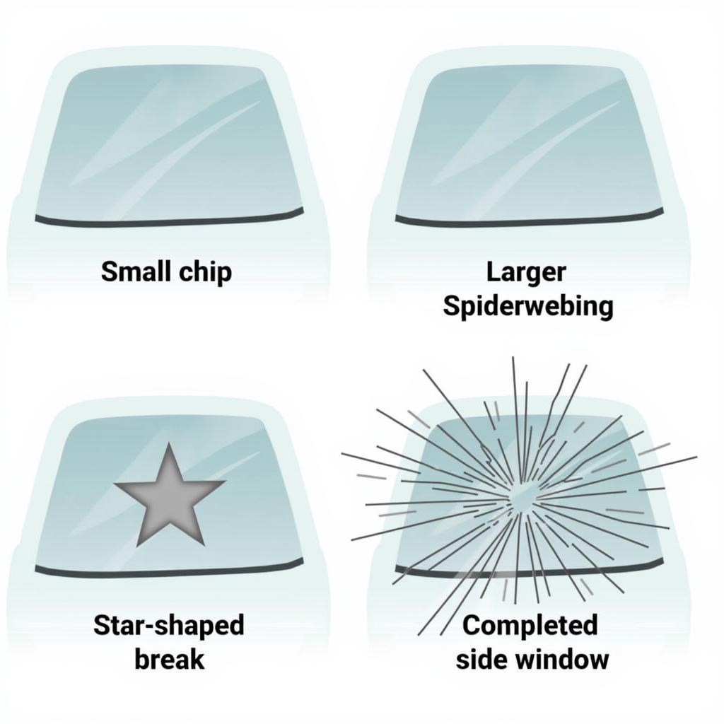 Car Window Damage Types in Brandon FL