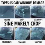 Types of Car Window Damage in Murrieta