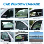 Different types of car window damage in Ocala, FL