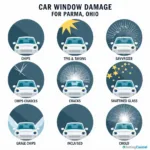 Car Window Damage Types in Parma