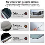 Types of Car Window Trim Molding Damage