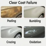 Types of Clear Coat Failure