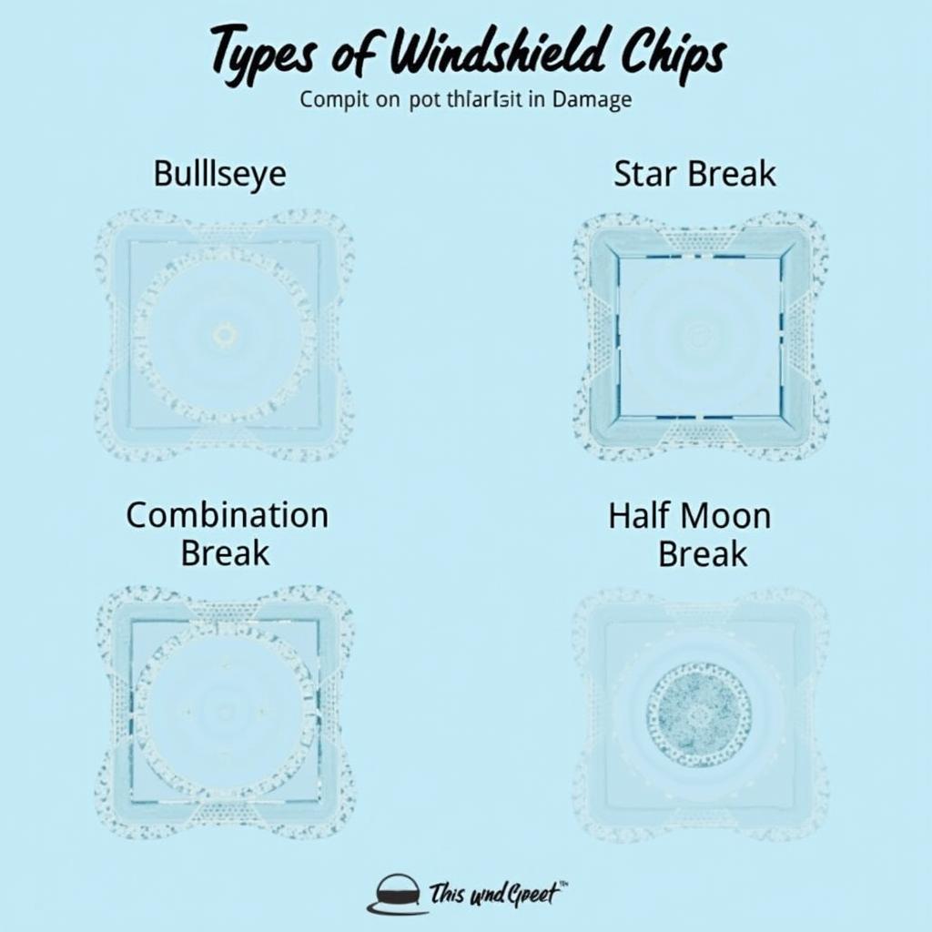 Different Types of Windshield Chips