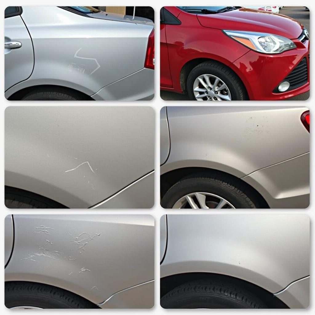 Various Types of Car Paint Damage