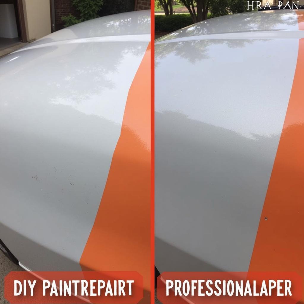 DIY vs Professional Paint Scratch Repair