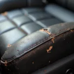 Dry Leather Car Seat