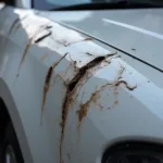 Keyed Car Damage Severity