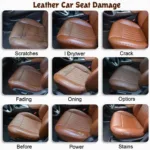 Types of Leather Car Seat Damage