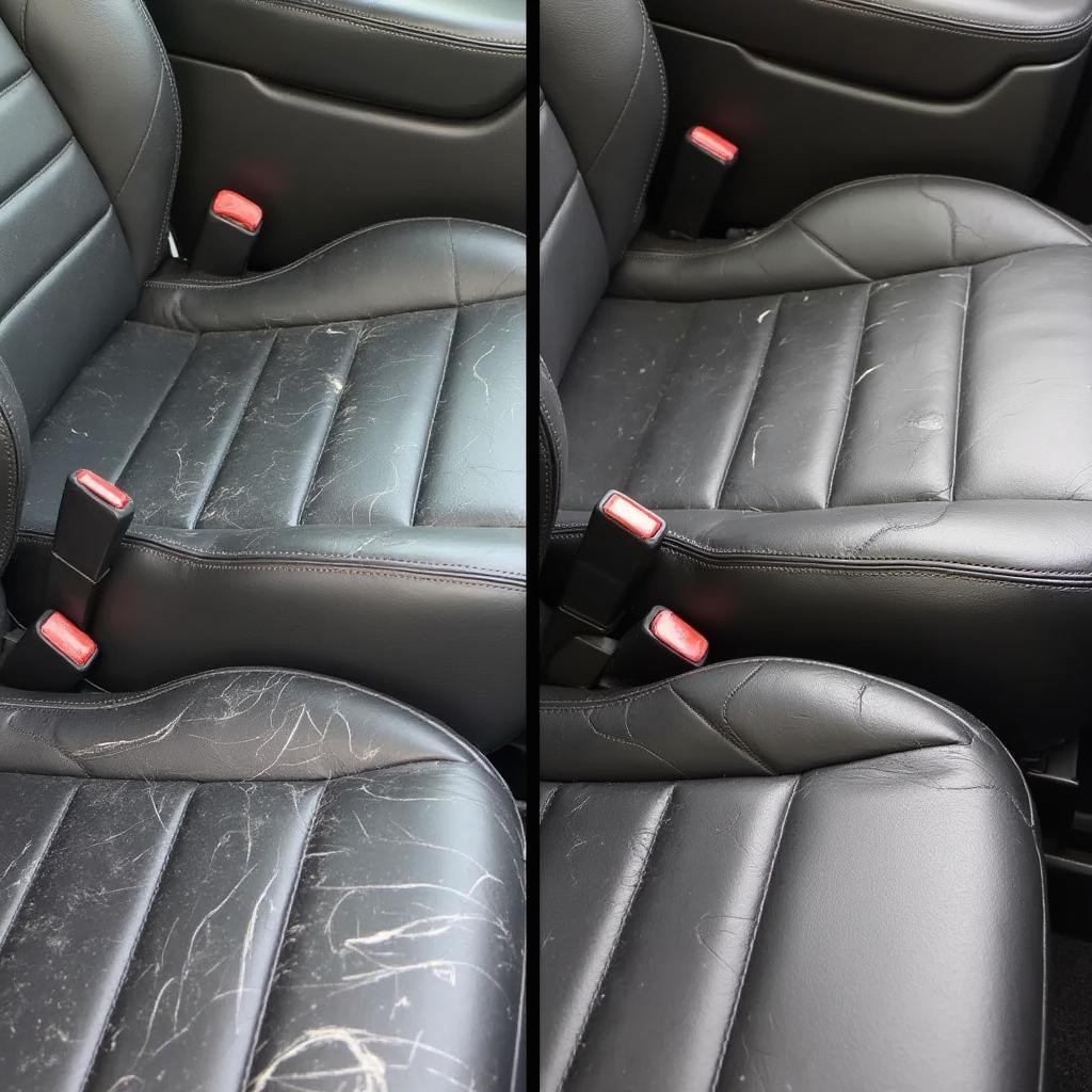 Types of Leather Car Seat Damage