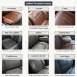 Types of Leather Car Seat Damage