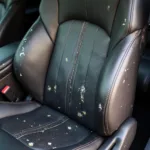 Types of Leather Car Seat Damage