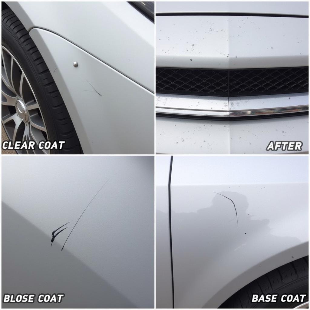 Mercedes Benz Scratch Types