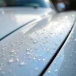 Close-Up of Pearl White Car Paint