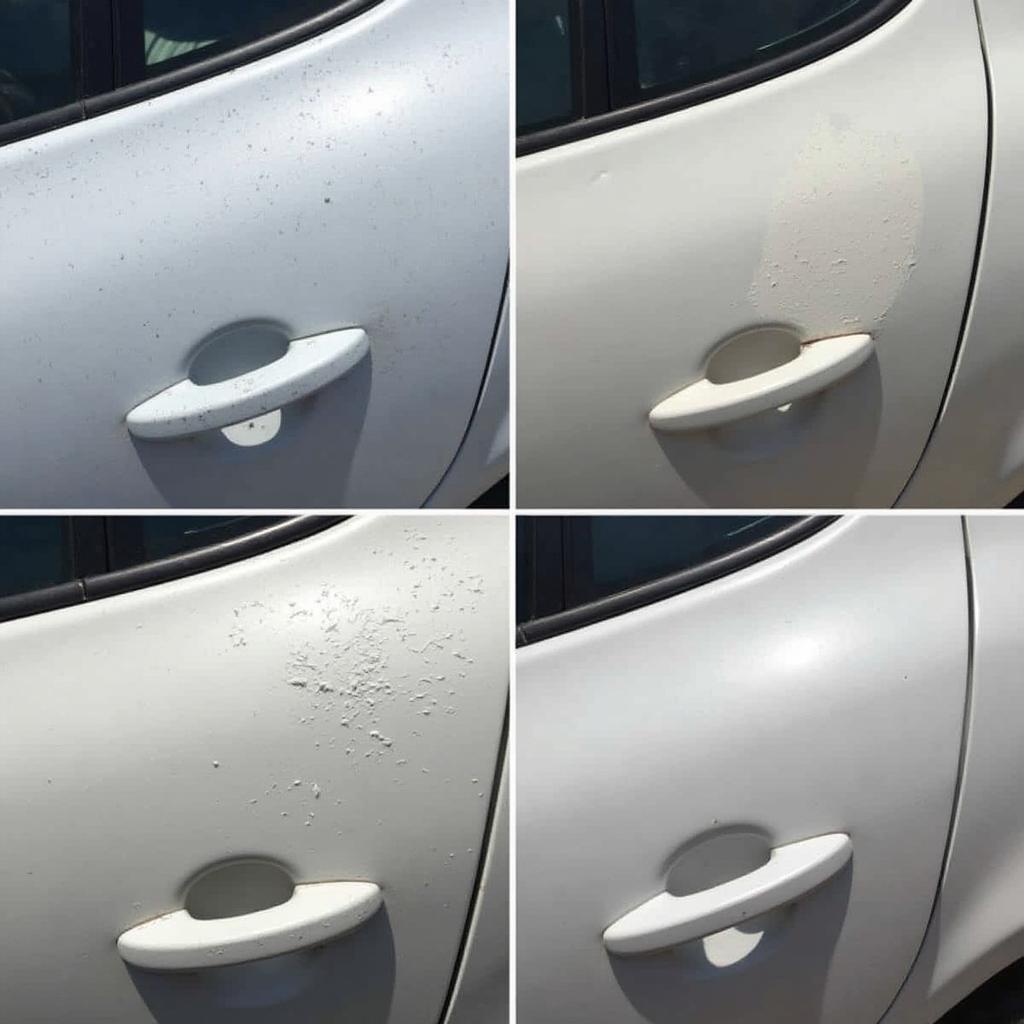 Car Paint Damage in Peterborough