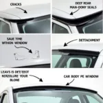 Types of Rear Window Seal Damage