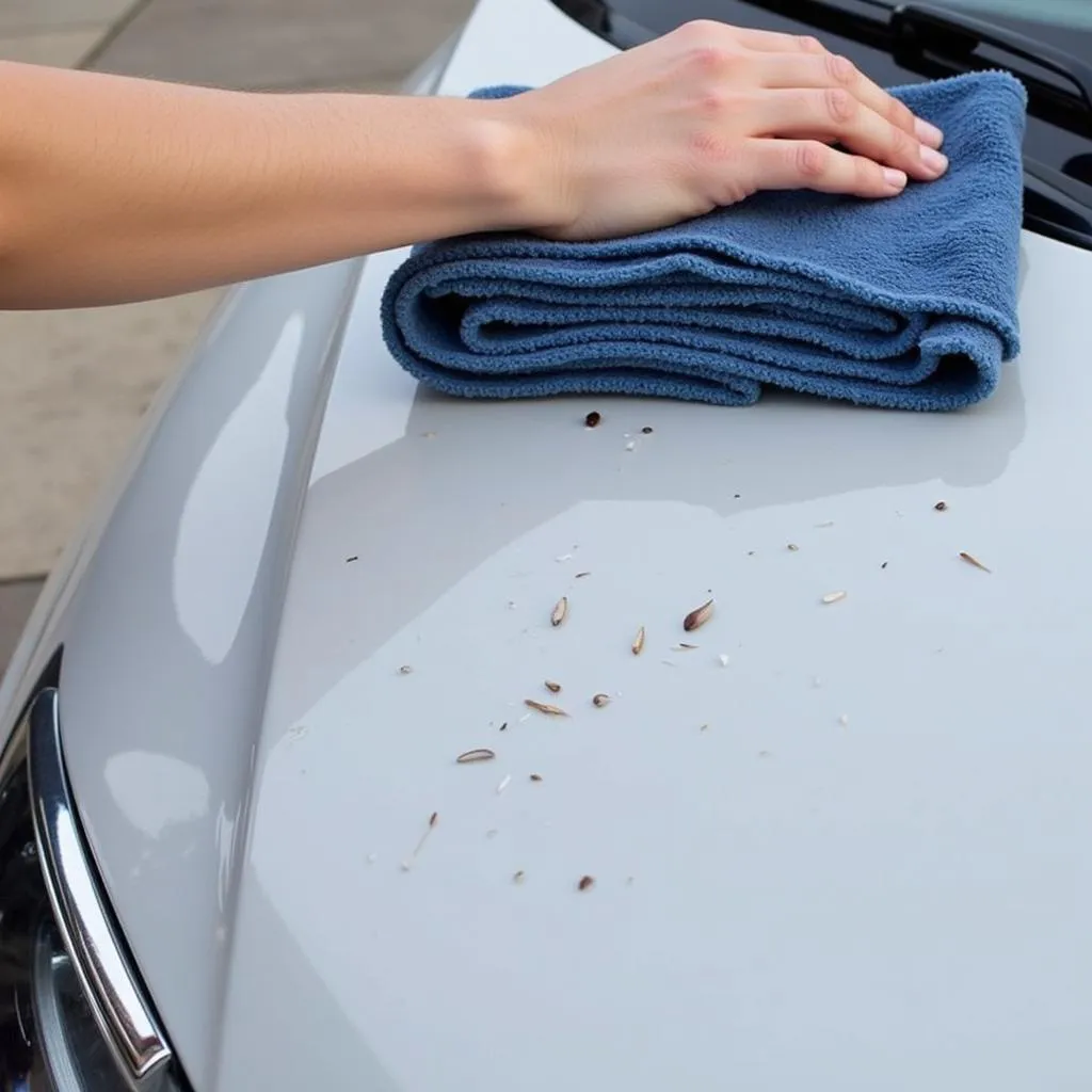 Cleaning bird droppings off a car using a microfiber cloth