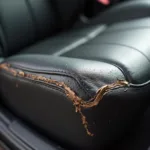 Damaged Vinyl Trim on a Leather Car Seat