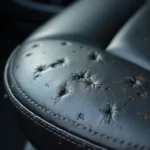 Small Holes in Leather Car Seat