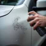 Spray paint car scratch repair