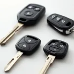 Different Car Key Types in Sri Lanka