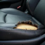 Close up of a torn car seat