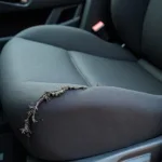 Close-Up of Torn Cloth Car Seat