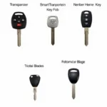 Different Types of Toyota Car Keys