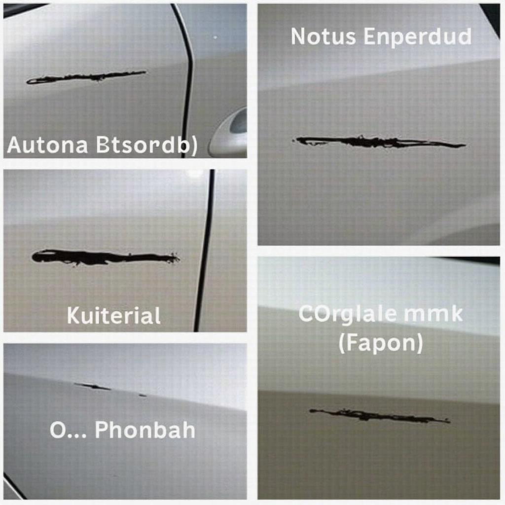 Different Types of Car Paint Damage